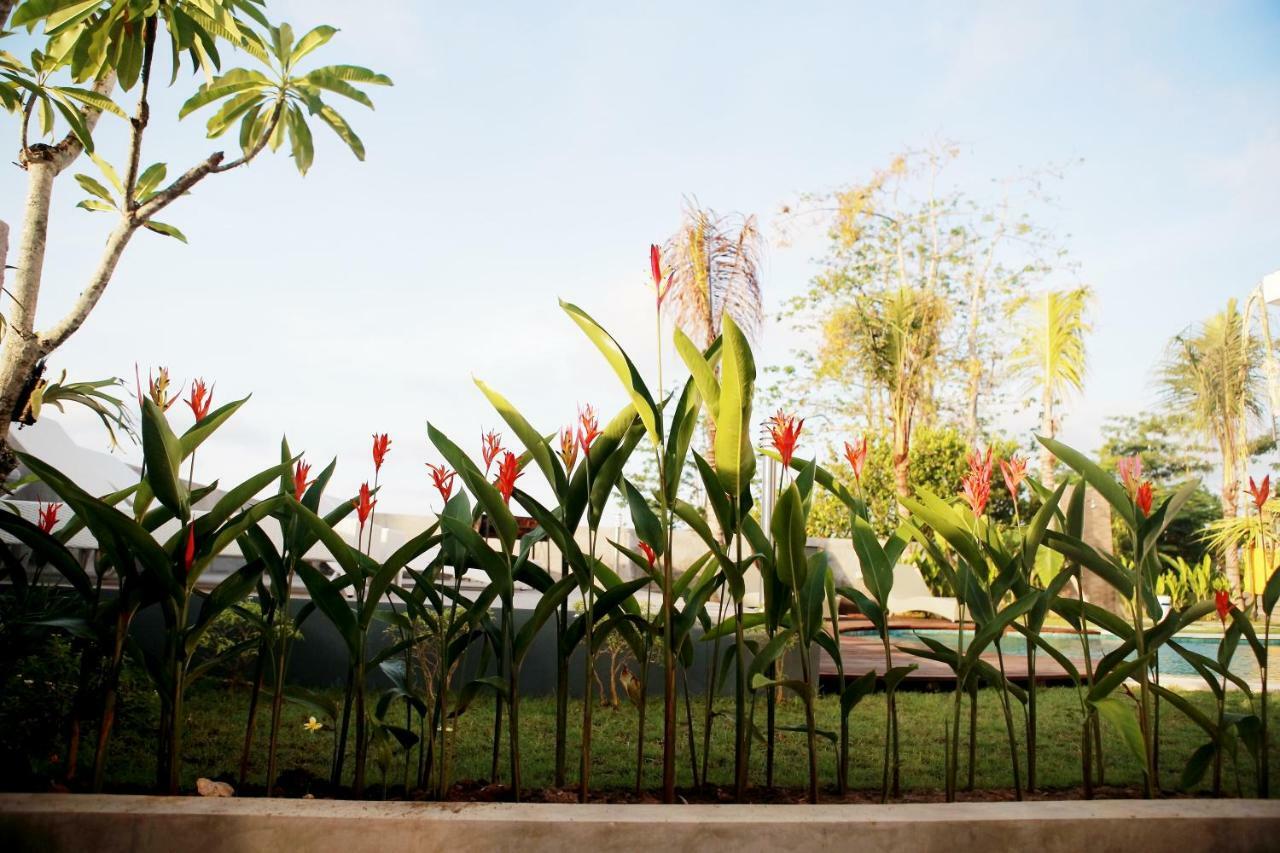 Vanilla Suite Jimbaran Esterno foto